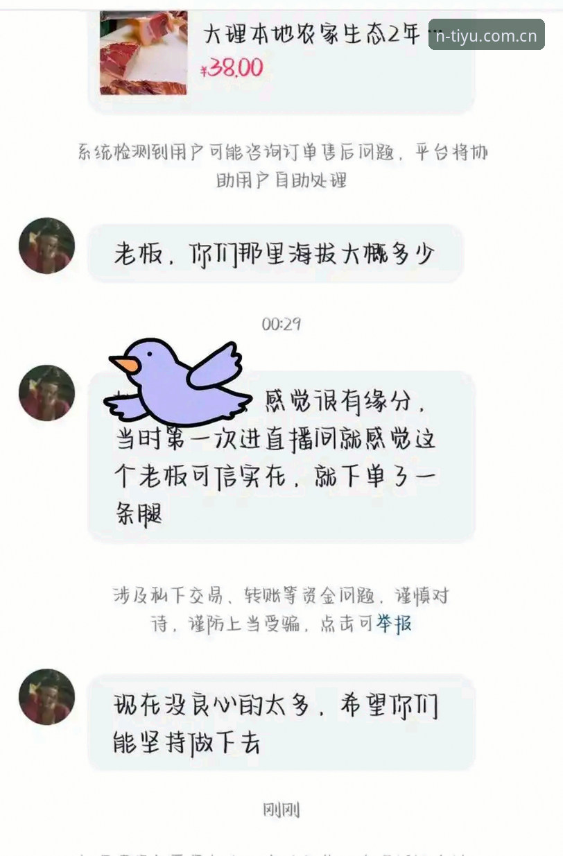 N体育赛事直播画质升级最新动态：v2.1.0版本实测对比与用户反馈